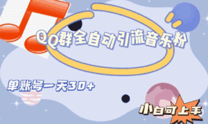 QQ群全自动引流音乐粉，单账号一天轻松引流30+-天边资源网