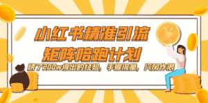 小红书精准引流课程：烧了200W得出的经验，手握流量，兴风作浪！-天边资源网