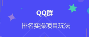 QQ群排名自动吸粉2.0课程-天边资源网