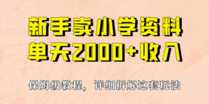 卖小学资料单日收入2000+，实操项目（保姆级教程+资料+工具）-天边资源网