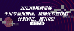 2023短视频带货课程，千川专业投放课，精细化专业投放，计划纠正，提升ROI-天边资源网