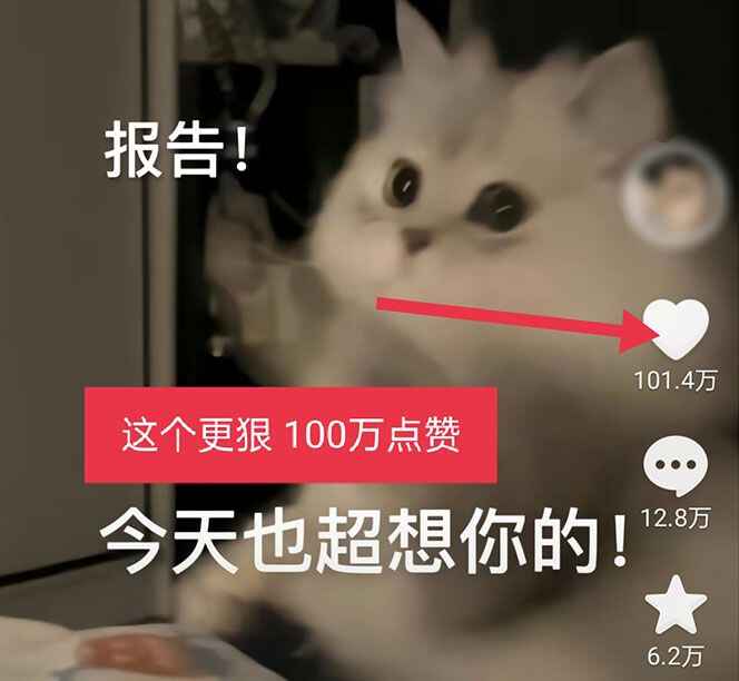 图片[4]-全网精准引流利器：黑科技纯原创可爱猫咪图片【实操5个VX号被加爆】-天边资源网