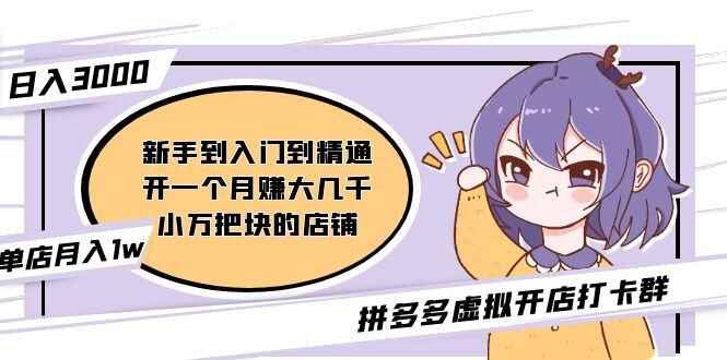 图片[1]-拼多多虚拟产品开店教程：入门到精通（昨日群里有小伙伴日入3000+）-天边资源网