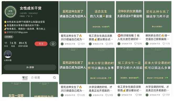 图片[3]-小红书创业女粉引流教程【适合各行业】从养号到制作到引流一条龙学会-天边资源网