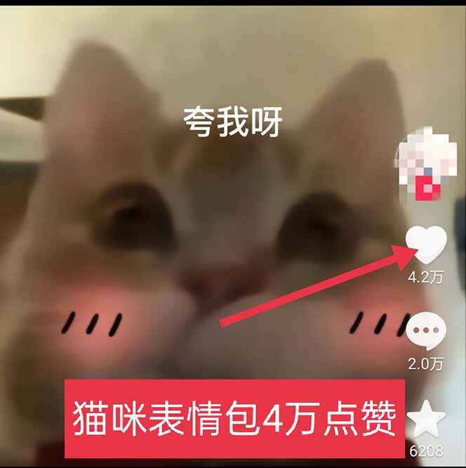 图片[3]-全网精准引流利器：黑科技纯原创可爱猫咪图片【实操5个VX号被加爆】-天边资源网