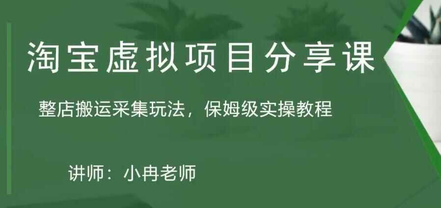 图片[1]-淘宝虚拟整店搬运课程：采集玩法保姆级实操教程-天边资源网