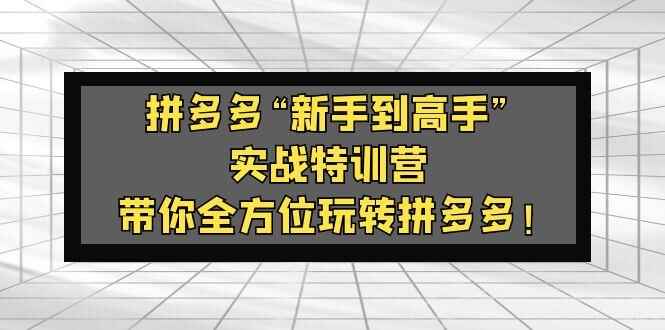 图片[1]-拼多多实战课程：带你零基础全方位玩转拼多多！【价值588】-天边资源网