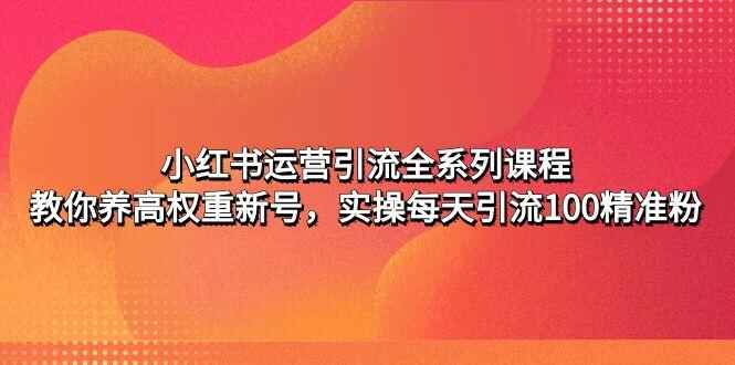 图片[1]-小红书引流推广课程：教你养高权重新号，实操每天引流100精准粉-天边资源网