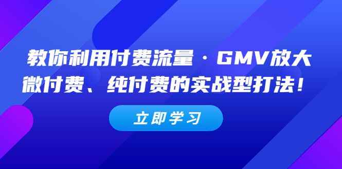 图片[1]-网络付费推广教学课程，利用付费流量·GMV放大，微付费、纯付费的实战型打法！-天边资源网