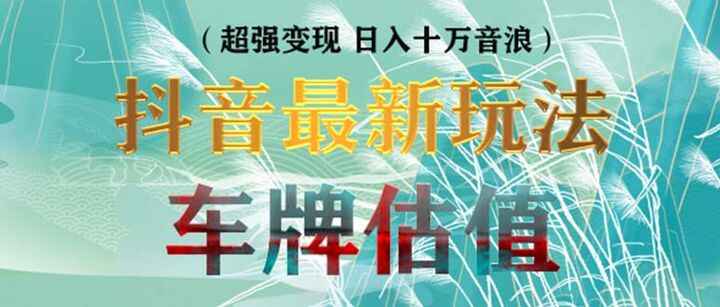 图片[1]-抖音直播车牌估值项目【详细教程和软件】无人直播变现轻松日赚几百+-天边资源网