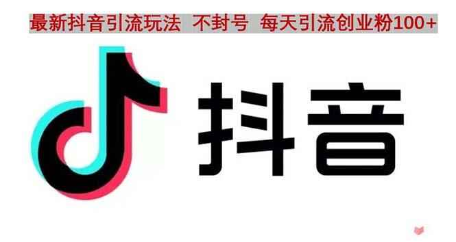 图片[1]-最新抖音引流技术：每天引精准创业粉100+不封号-天边资源网