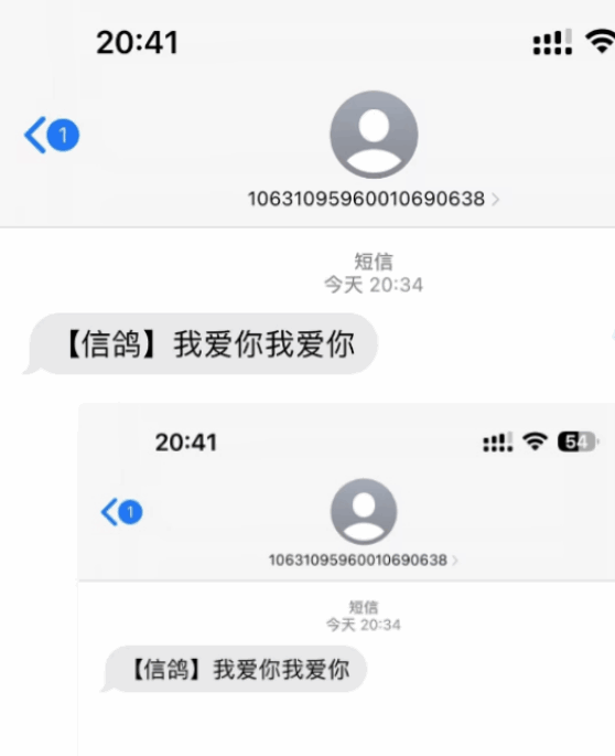 图片[2]-匿名短信项目【网站源码+网站搭建视频教程】冷门月入过万的项目-天边资源网