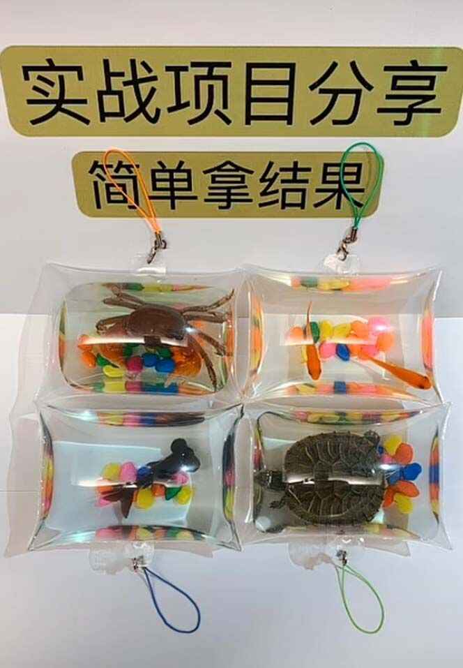 图片[3]-手工小成本泡泡鱼地摊创业项目【日賺500+】抖音爆火-天边资源网