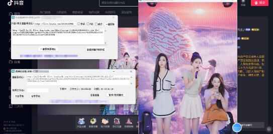图片[2]-电脑版抖音/快手/B站直播源获取+直播间实时录制+直播转播【软件+教程】-天边资源网