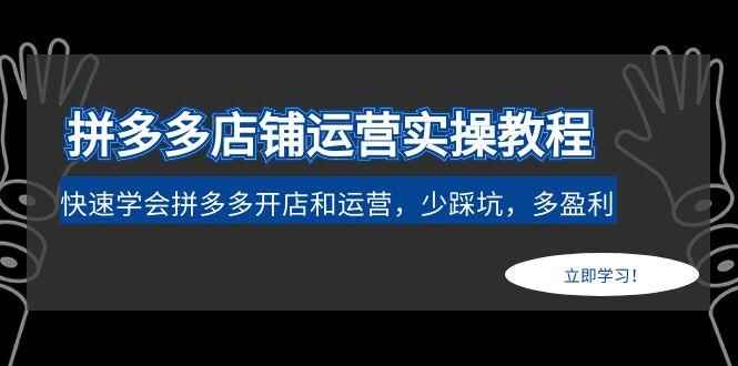 图片[1]-拼多多运营实操教程：教你快速学会拼多多开店和运营-天边资源网