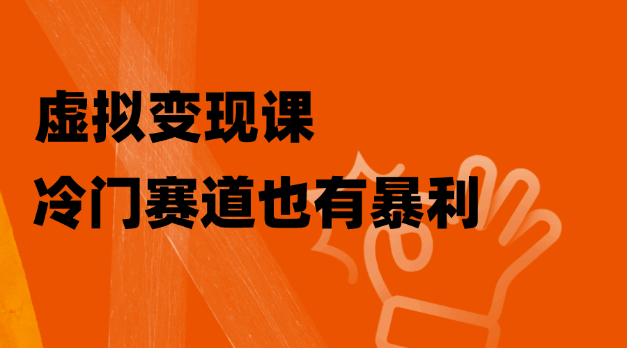 虚拟变现课，冷门赛道也有暴利，手把手教你玩转冷门私域（附资料）-天边资源网
