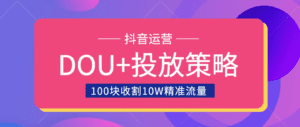 DOU+投放训练营，用付费流量撬动大额自然流量，过得超额变现转化-天边资源网