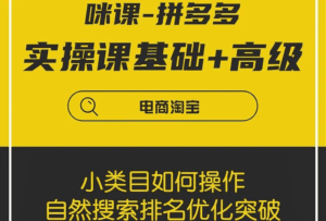 拼多多电商基础班+进阶班+突破班，用系统的学习模式快速改变现状-天边资源网