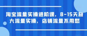 淘宝流量实操进阶课，8-15天放大流量实操，店铺流量不用愁-天边资源网
