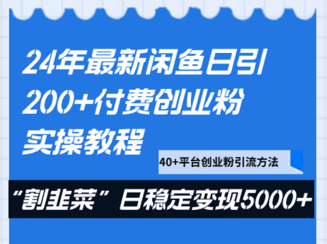 图片[1]-2024年最新闲鱼实操教程，日引200+付费创业粉，割韭菜每天5000+【揭秘】-天边资源网
