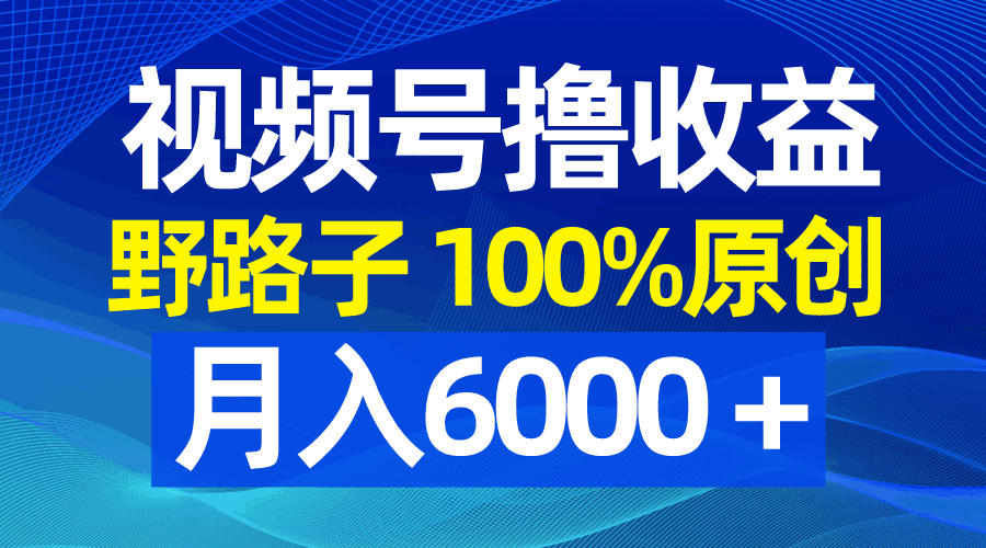 图片[1]-视频号野路子撸收益，100%原创，条条爆款，月入6000＋【揭秘】-天边资源网