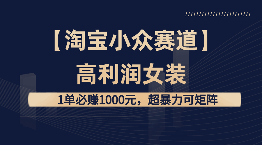 图片[1]-淘宝小众赛道高利润女装，1单赚1000元，超暴力可矩阵【揭秘】-天边资源网