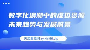 数字化浪潮中的虚拟资源 未来趋势与发展前景-天边资源网