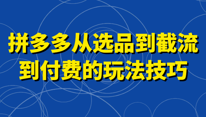 拼多多玩法技巧 从选品到截流到付费，掌握截流自然流量、高投产、强付费快速启动-天边资源网