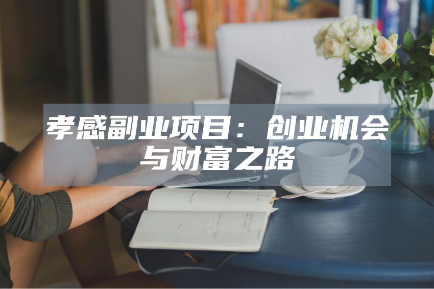 孝感副业项目：创业机会与财富之路