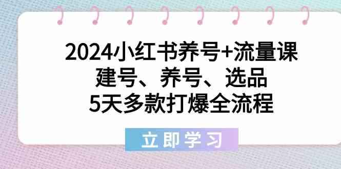 2024小红书养号+流量课