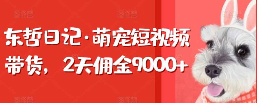 萌宠短视频带货
