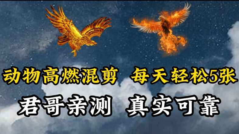 动物超燃混剪