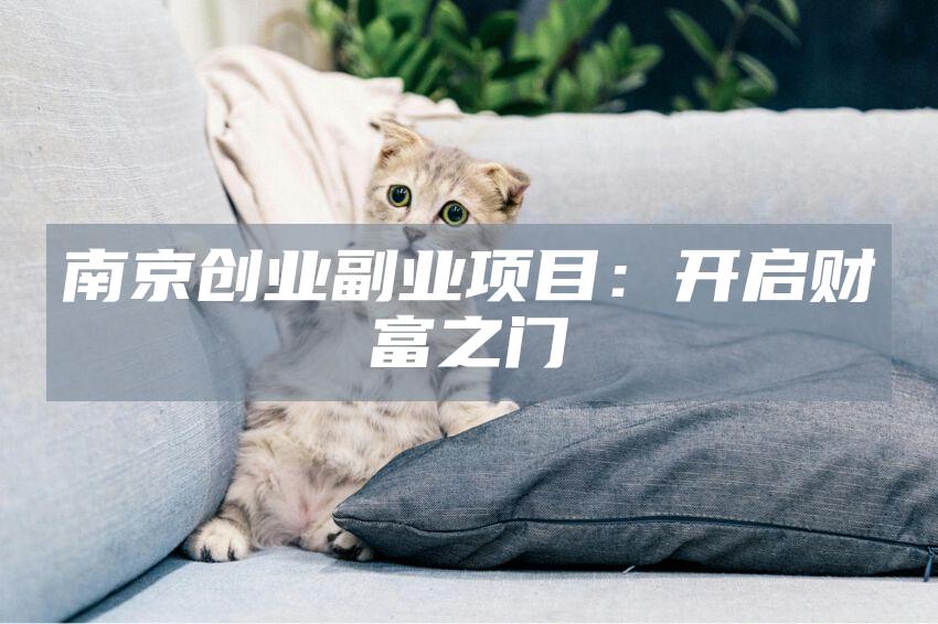 南京创业副业项目：开启财富之门
