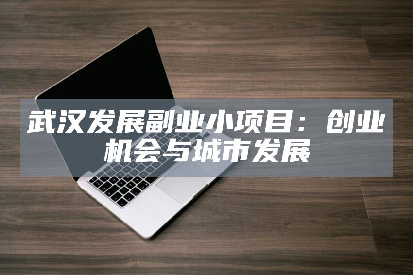 武汉发展副业小项目：创业机会与城市发展