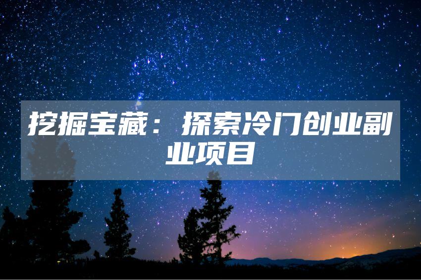 挖掘宝藏：探索冷门创业副业项目