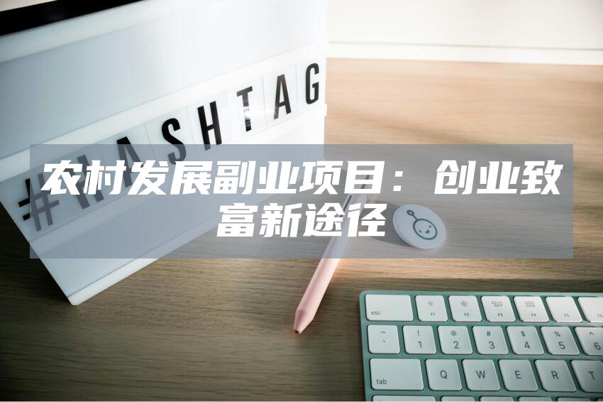 农村发展副业项目：创业致富新途径