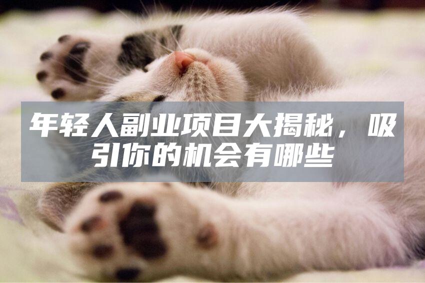 年轻人副业项目大揭秘，吸引你的机会有哪些