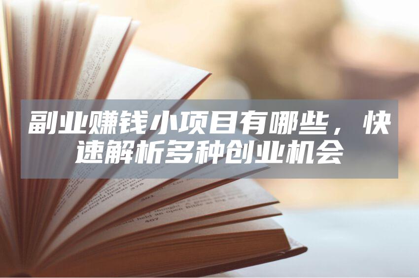 副业赚钱小项目有哪些，快速解析多种创业机会