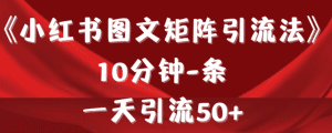 小红书图文矩阵引流法  10分钟一条 ，一天引流50+【揭秘】-天边资源网