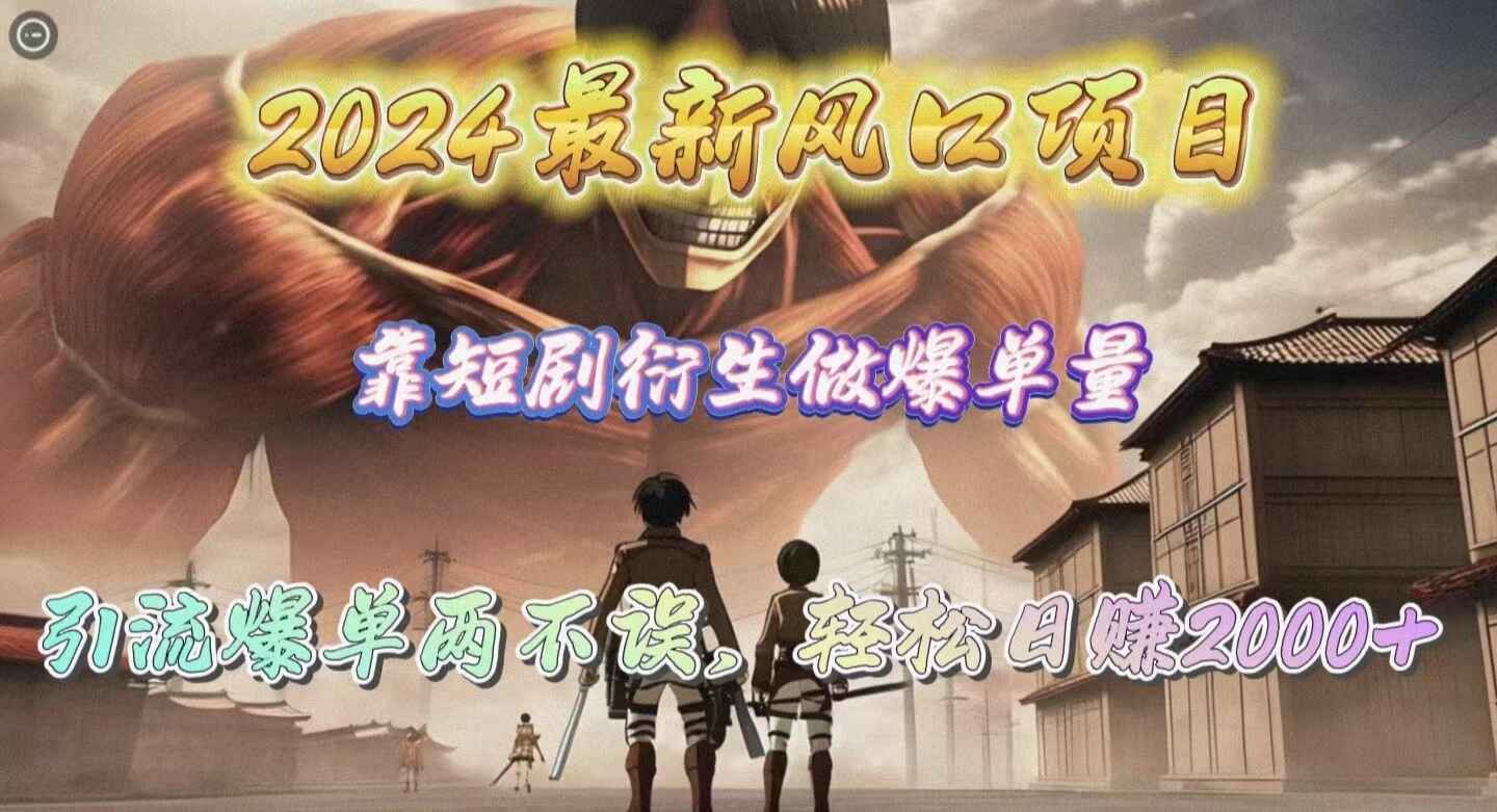 2024最新风口项目