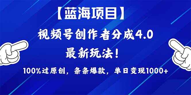 2024蓝海项目视频号最新方法