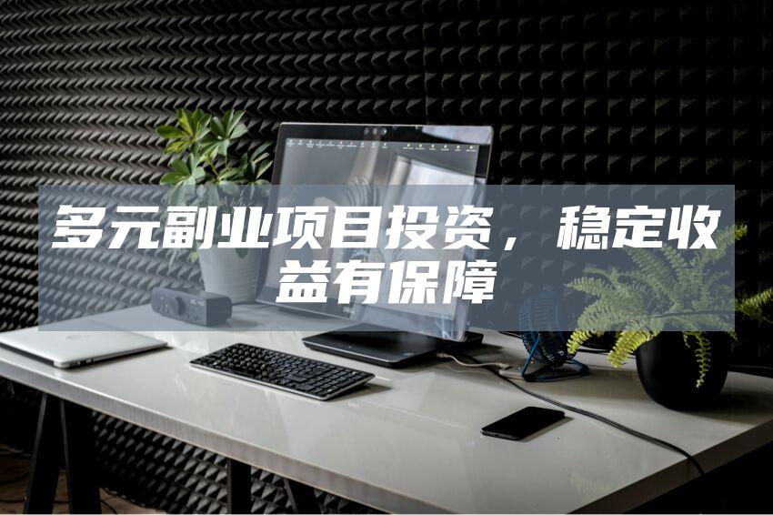 多元副业项目投资，稳定收益有保障