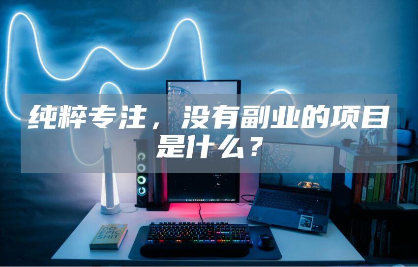 纯粹专注，没有副业的项目是什么？