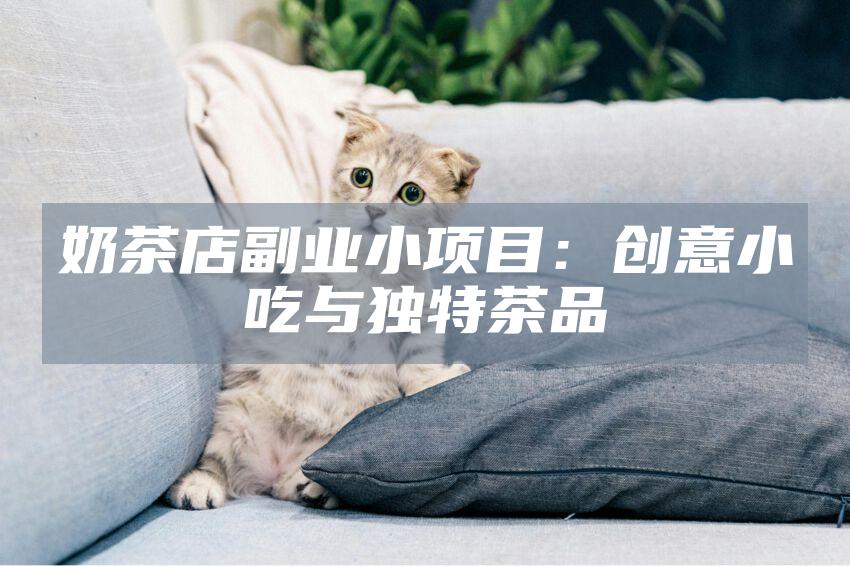 奶茶店副业小项目：创意小吃与独特茶品