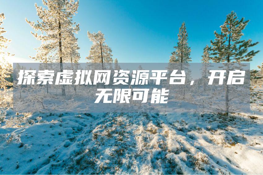 探索虚拟网资源平台，开启无限可能