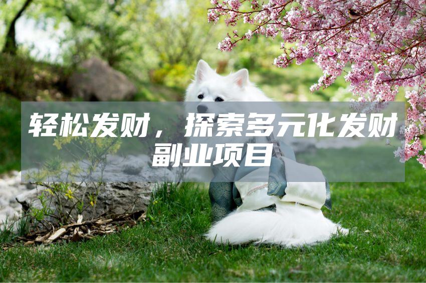 轻松发财，探索多元化发财副业项目