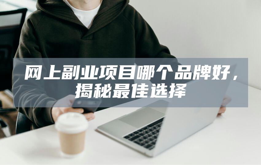 网上副业项目哪个品牌好，揭秘最佳选择