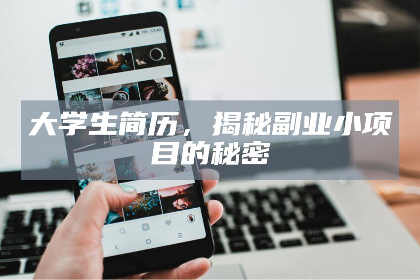 大学生简历，揭秘副业小项目的秘密