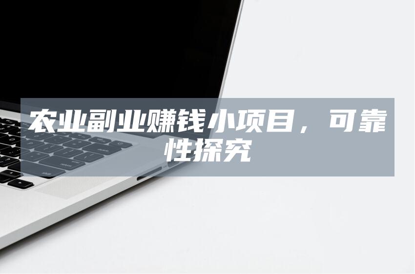 农业副业赚钱小项目，可靠性探究