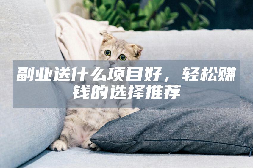 副业送什么项目好，轻松赚钱的选择推荐
